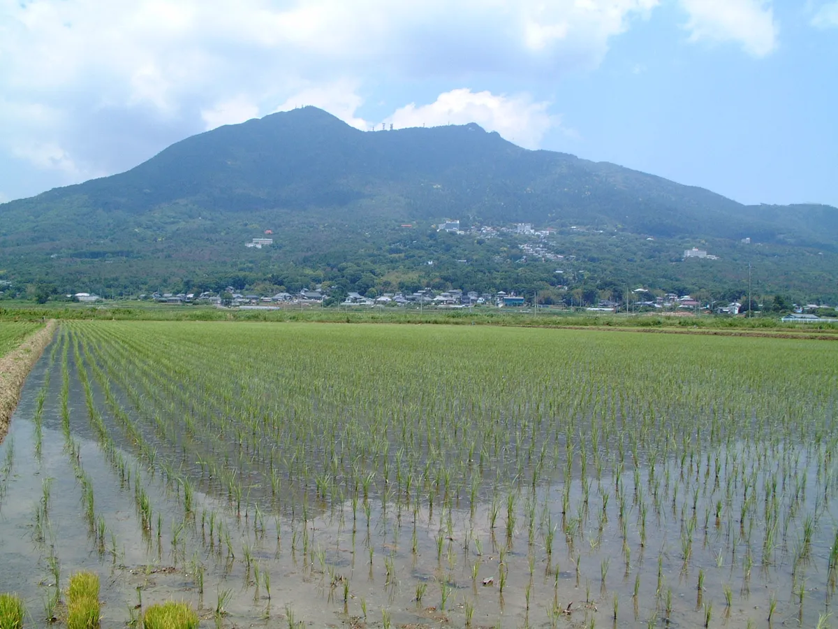 田んぼ越しに見るふたつの峰の筑波山